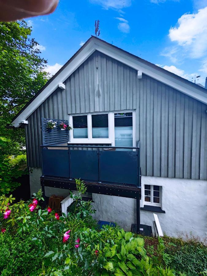 Ferienwohnung Platzhirsch Fuer 2 - 4 Pers. Winterberg Zewnętrze zdjęcie